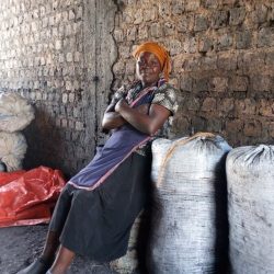 Chidfea rep 23 3 Christine sells charcoal a