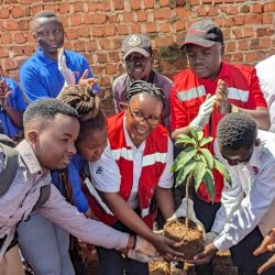 kyc planting a